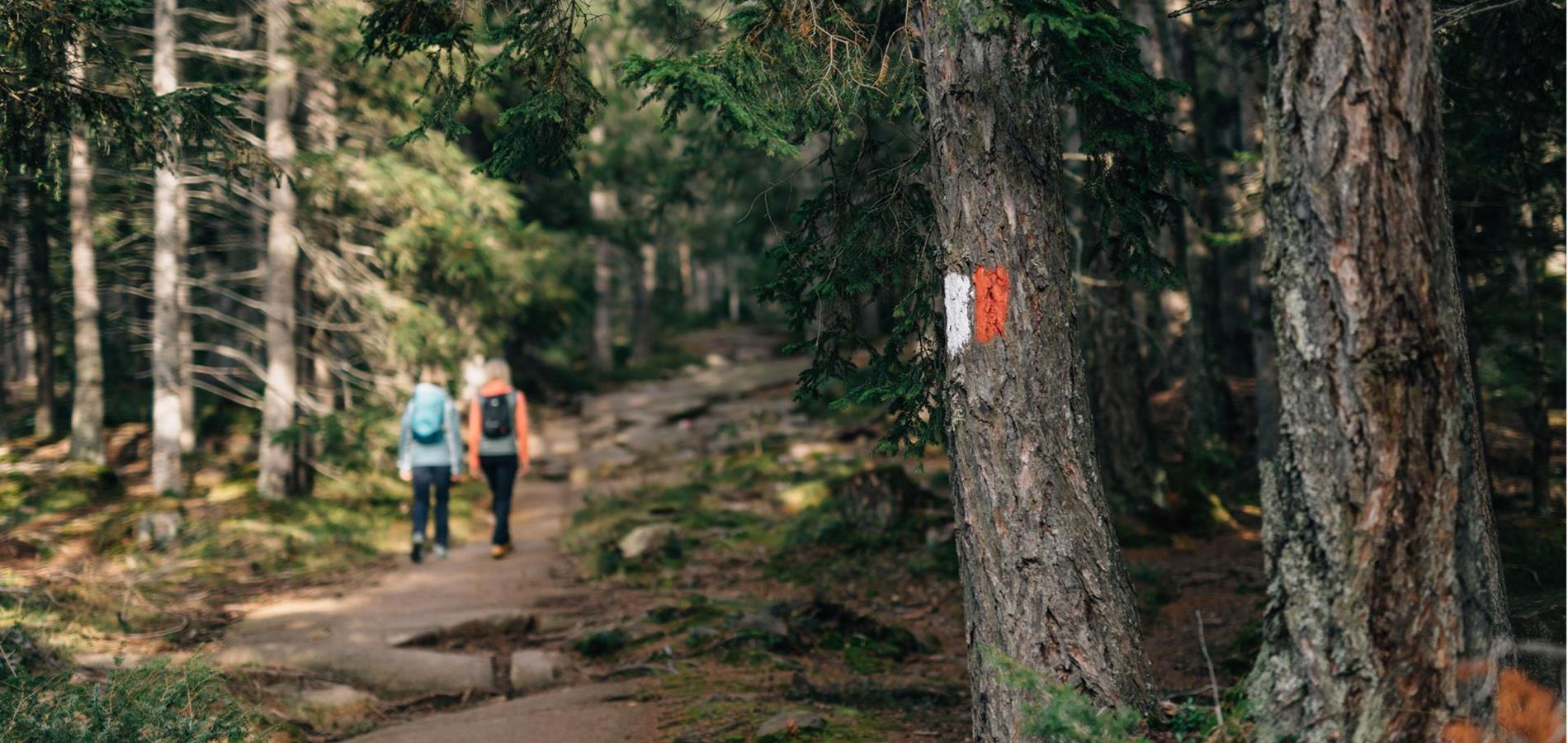 Packliste: Was brauche ich wirklich beim wandern?