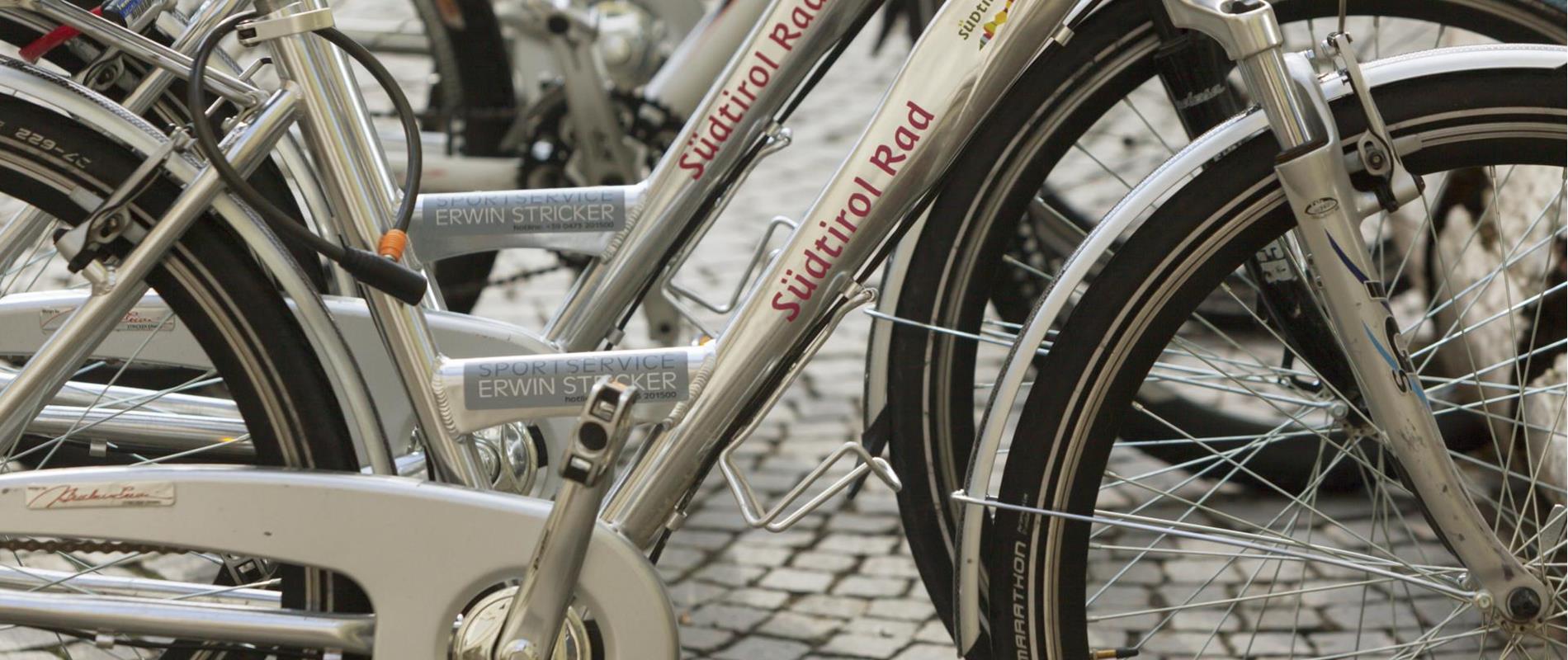 Bike rental