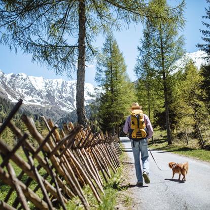 Holiday with Dog in Passeiertal Valley