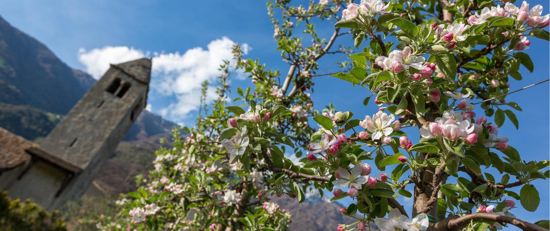 Primavera Meranese a Naturno