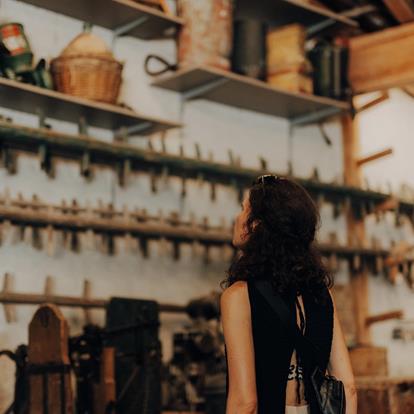 Exhibitions and Museums around Lana