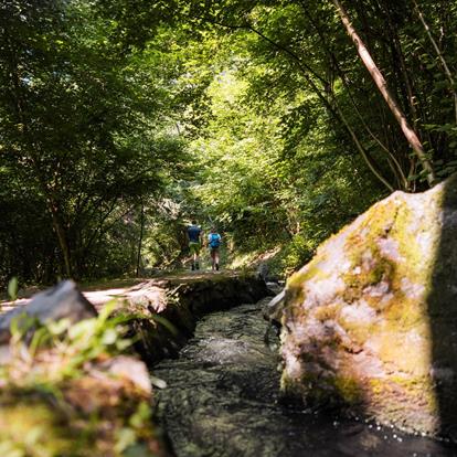 Waalwege Trails in Parcines