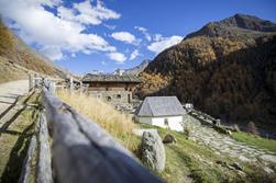 Escursioni sugli alpeggi dell`Alto Adige