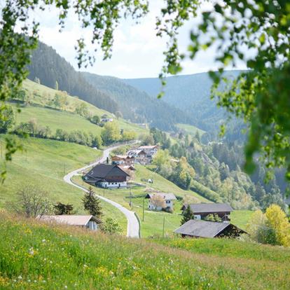 Urlaub auf dem Bauernhof in Hafling, Vöran und Meran 2000