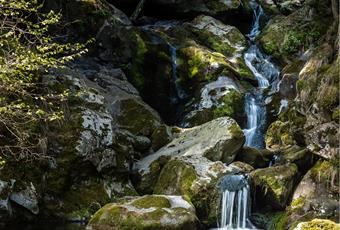 Relaxation and nature in Passeiertal Valley