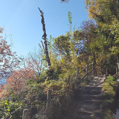 Waalwege Trails in Parcines