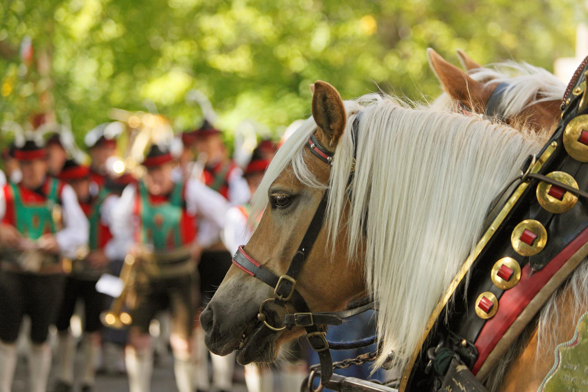 Herbstfest