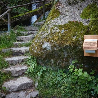 Our Projects for a Greener Future