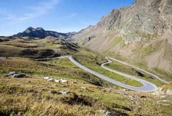 Autoverleih und Carsharing