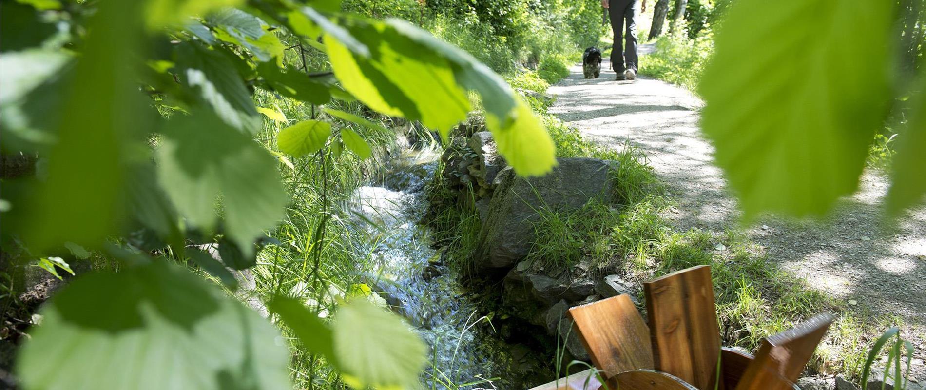 Waalwege in Partschins