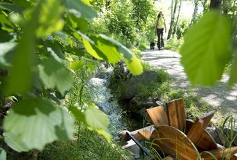 The origin of the Waalwege - the famous irrigation channels