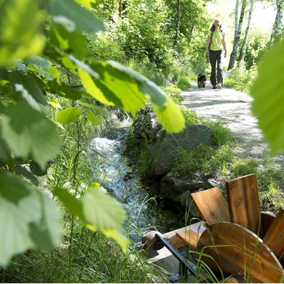 Waalwege Trails in Parcines