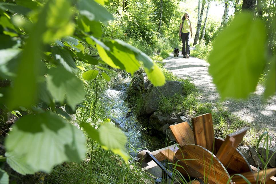 Aktivurlaub-Wandern Rablander Waalweg Waalschelle Frau mit Hund-Partschins-HR