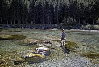 Catch me, if you can