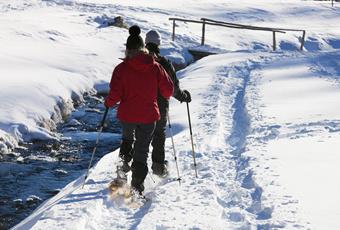 Snowshoe Hiking