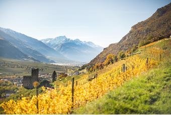 Autunno Gourmet di Naturno