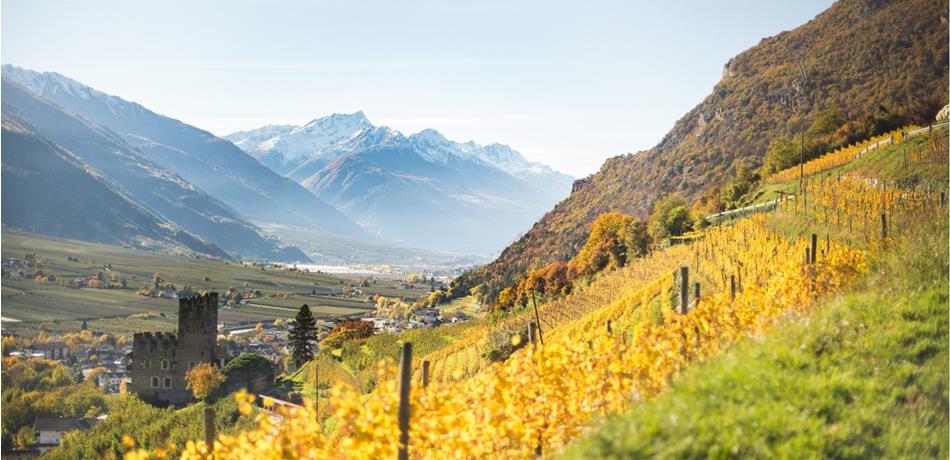 Wijn uit Zuid-Tirol/Südtirol
