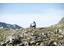 Hiking-Hufeisentour-Avelengo-Verano-Merano2000-mr