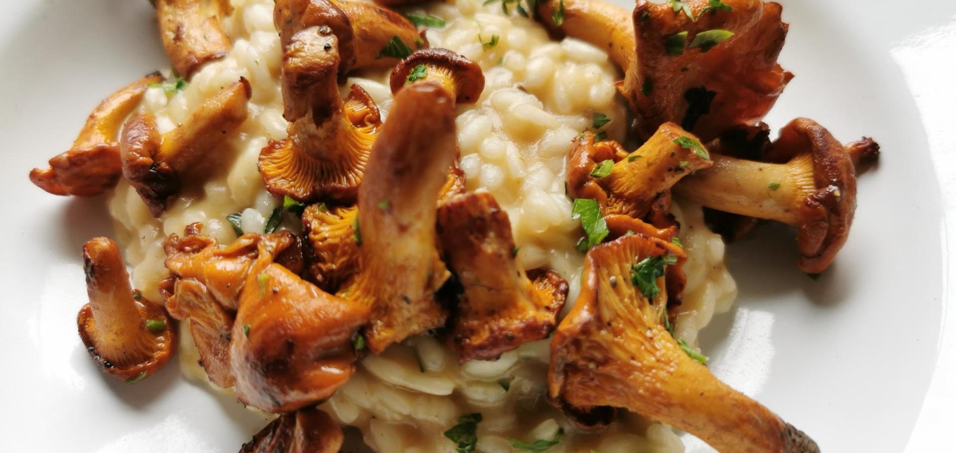 Risotto with chanterelles