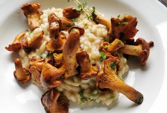 Risotto with chanterelles