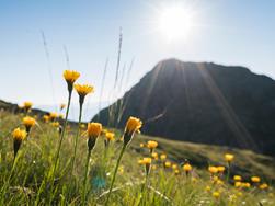 Weather n Tisens - Prissian / Tesimo - Prissiano