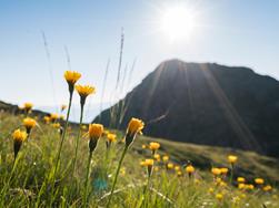 Wetter in Tisens und Prissian