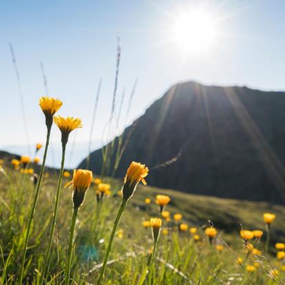 Wetter in Tisens und Prissian