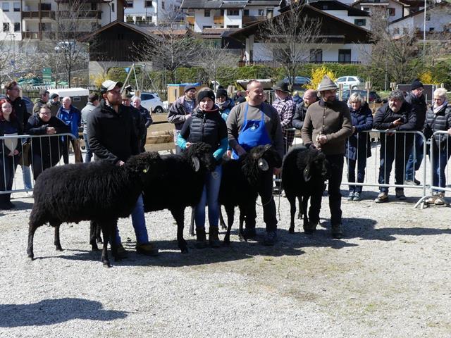 szv-40jahre-2