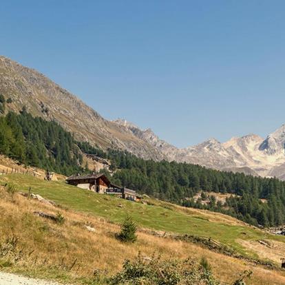 Slow Food & Hiking
