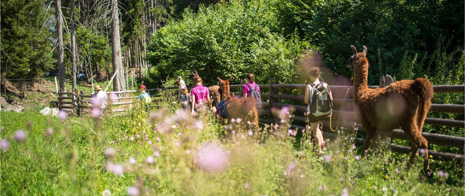 Wandern und Erholung mit der ganzen Familie