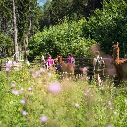 Escursioni e relax per l'intera famiglia