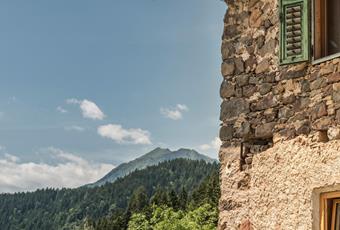 Vorteilskarte Deutschnonsberg: Südtirol Guest Pass