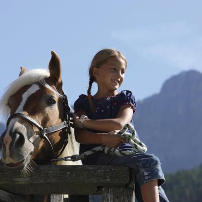 Horse Riding in Lana and Environs