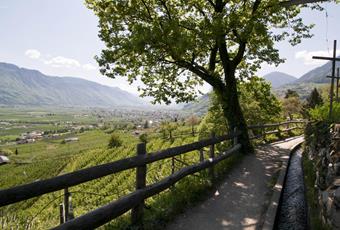I Sentieri d‘Acqua Meranesi in Alto Adige