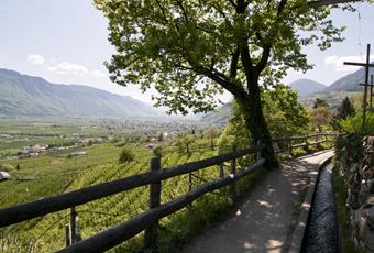 Marlinger Waalweg trail