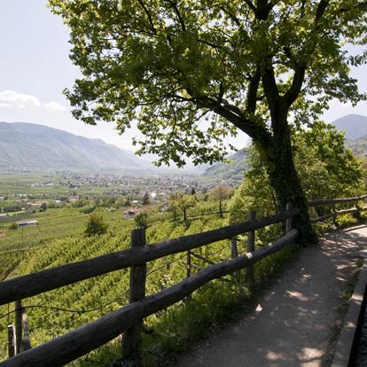 Meraner Waalrunde Circuit Trail in South Tyrol