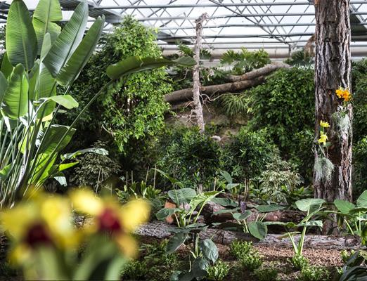 Sehenswürdigkeiten-Raffeiner Orchideenwelt-Lana und Umgebung[2]