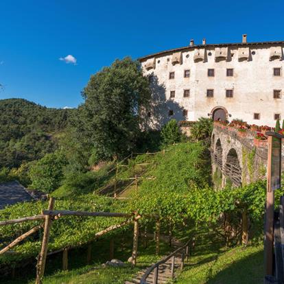 La vite Versoaln a Prissiano