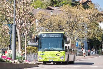 NEU: Mit Bus und Pass auf grünem Kurs