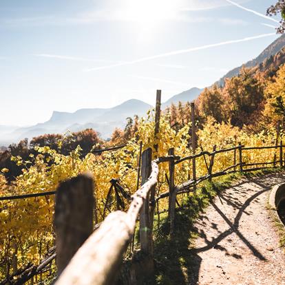 The Waalweg Trail of Marling