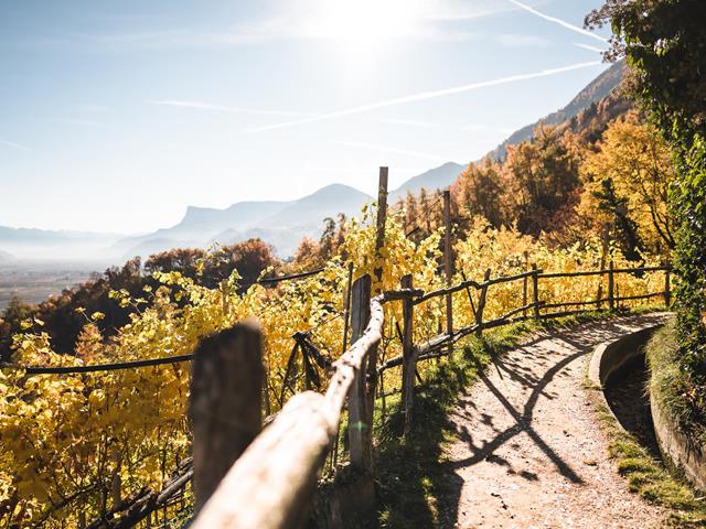 Der Marlinger Waalweg