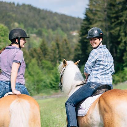 Land und Leute: Hafling-Vöran-Meran 2000 hautnah erleben