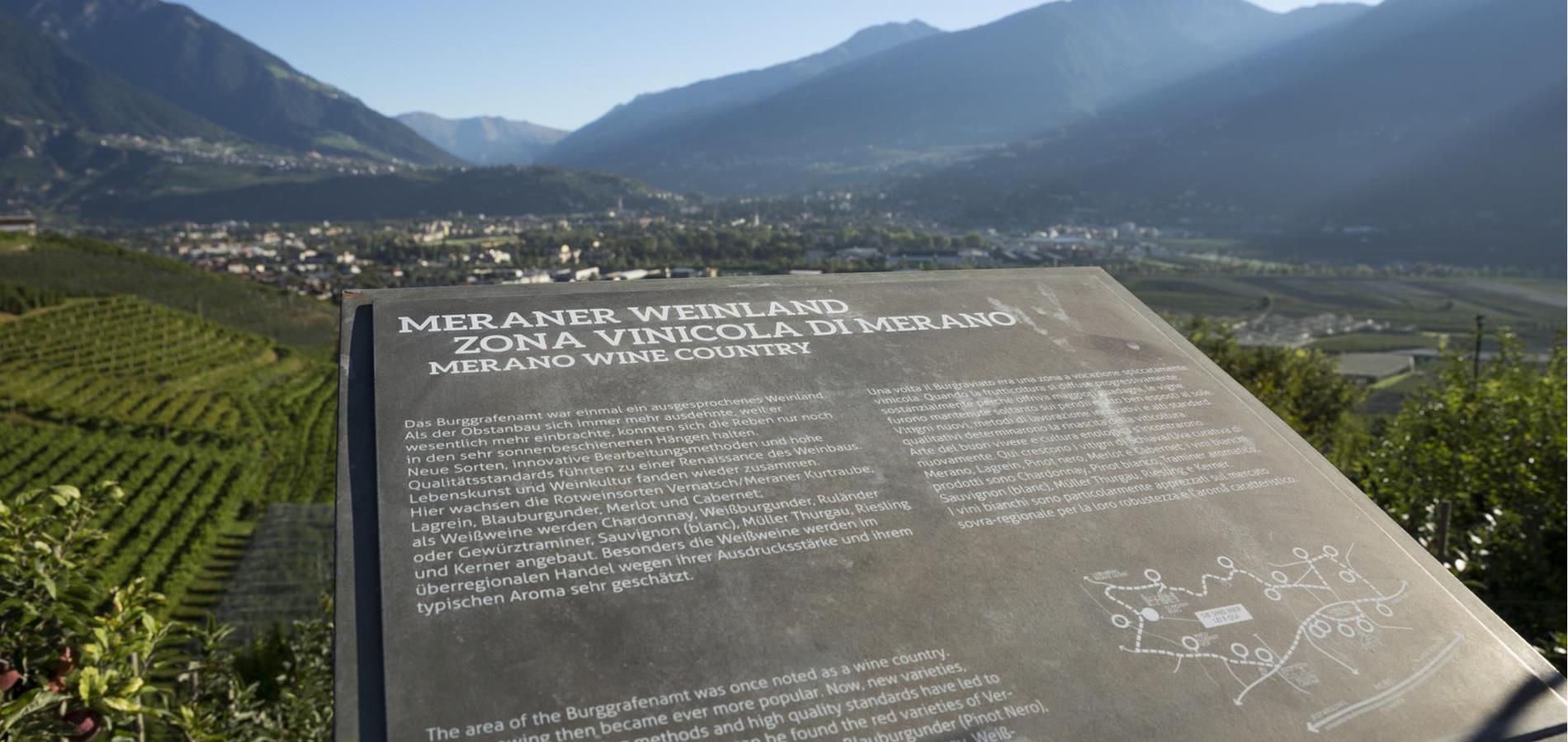 The WineCulturePath offers an panoramic view through Merano