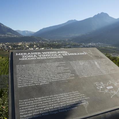 La ViaCulturaVini offre una vista panoramica su Merano e dintorni