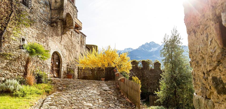 Schloss Auer