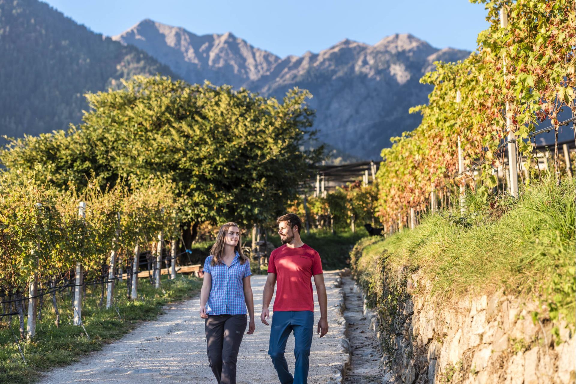 Essen&Trinken-Weinweg-Herbst-Dorf-Tirol-hn[2]