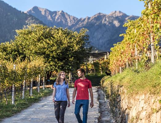 Essen&Trinken-Weinweg-Herbst-Dorf-Tirol-hn[2]