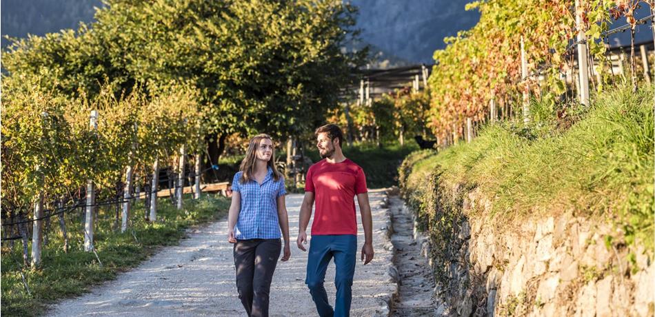 Der Weinweg in Dorf Tirol