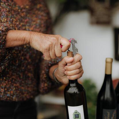 Degustazioni e altro nella regione di Lana in Alto Adige