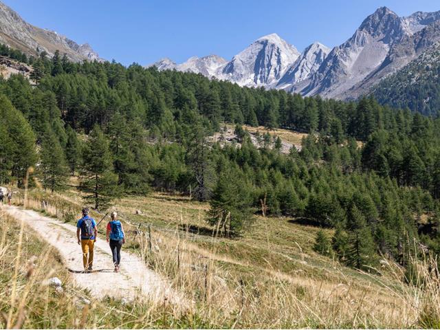 pfossental-wandern-september-tg-schnals-peter-santer-1